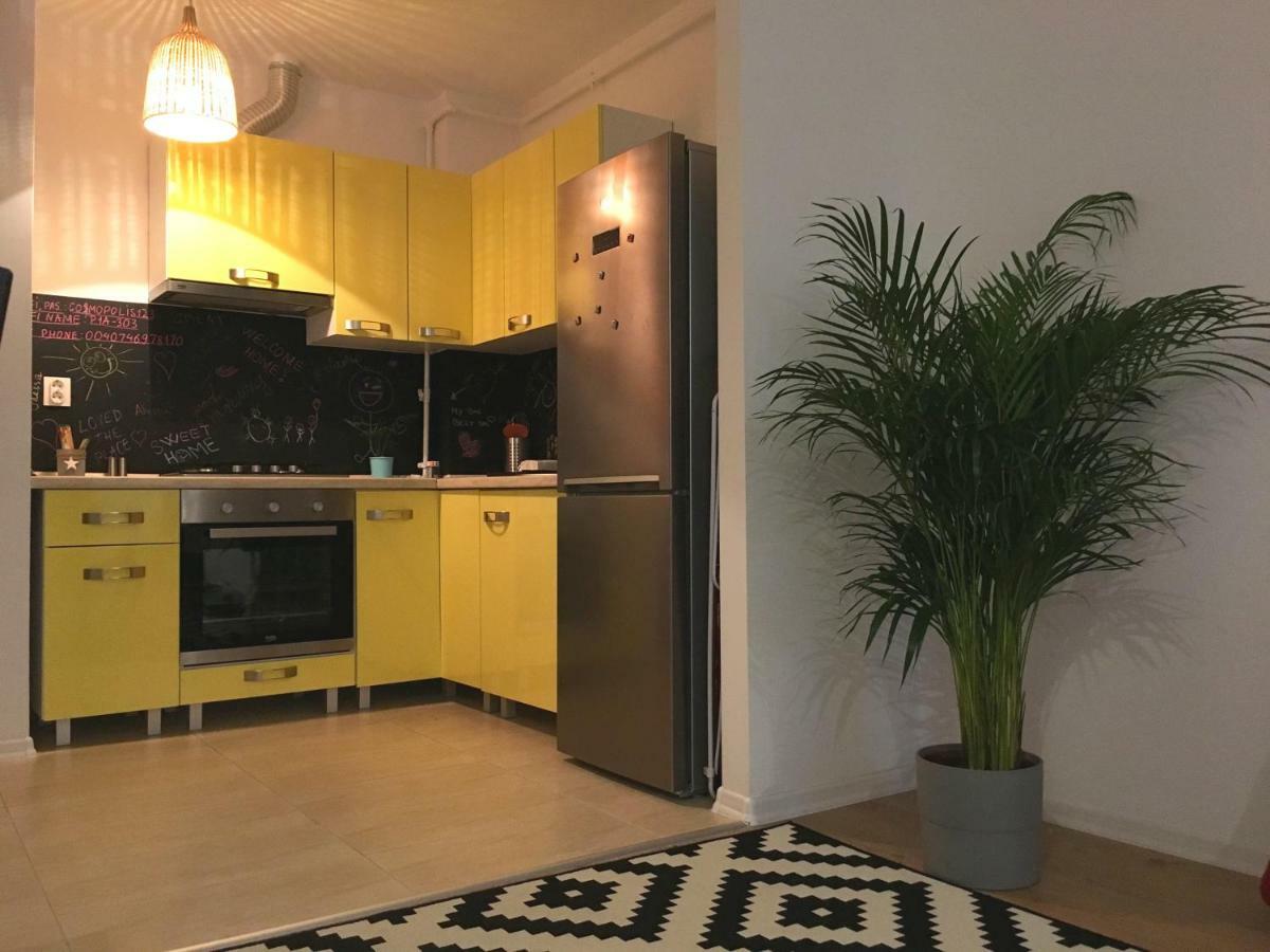 Luxury Apartment With Pool In North Bucharest Cretuleasca Экстерьер фото